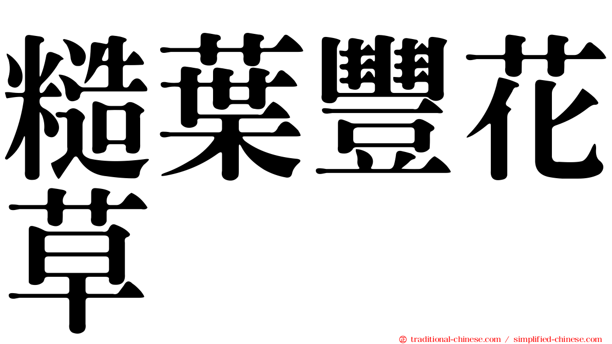 糙葉豐花草