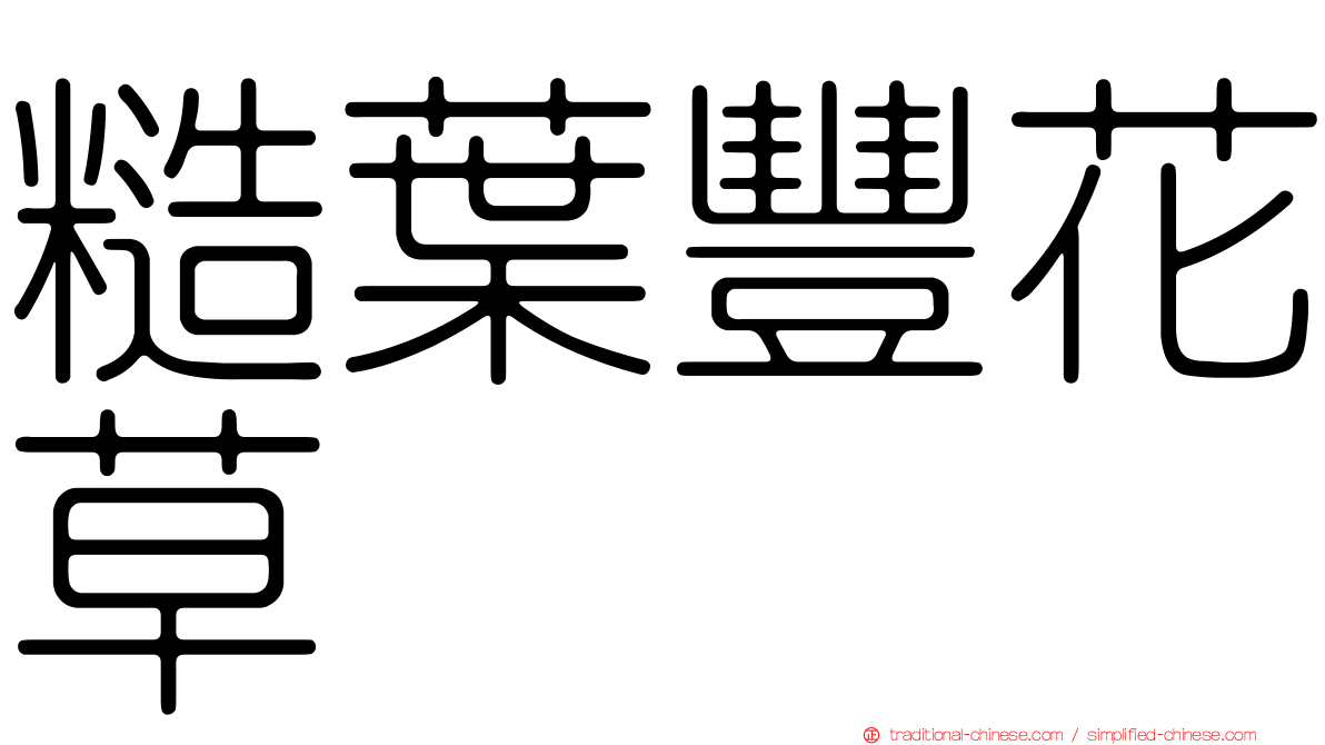 糙葉豐花草