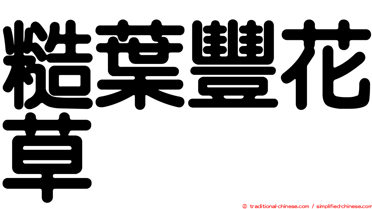 糙葉豐花草