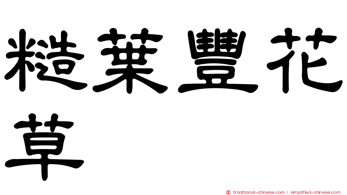 糙葉豐花草