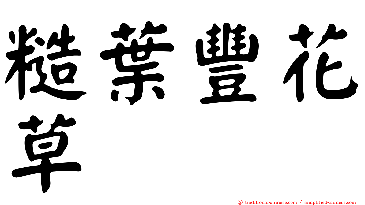 糙葉豐花草