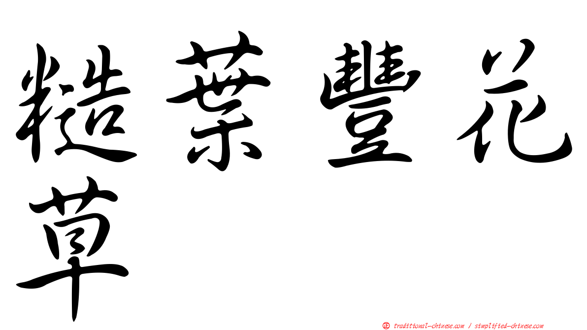 糙葉豐花草