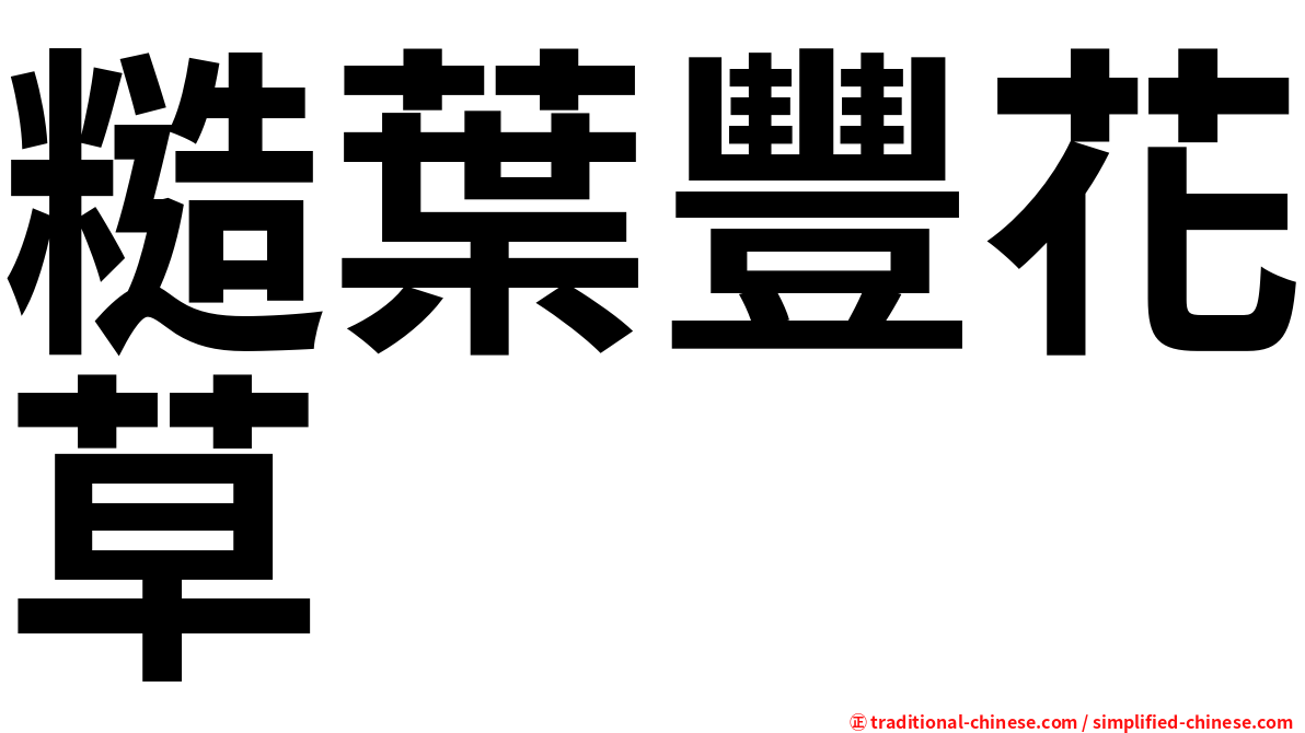 糙葉豐花草