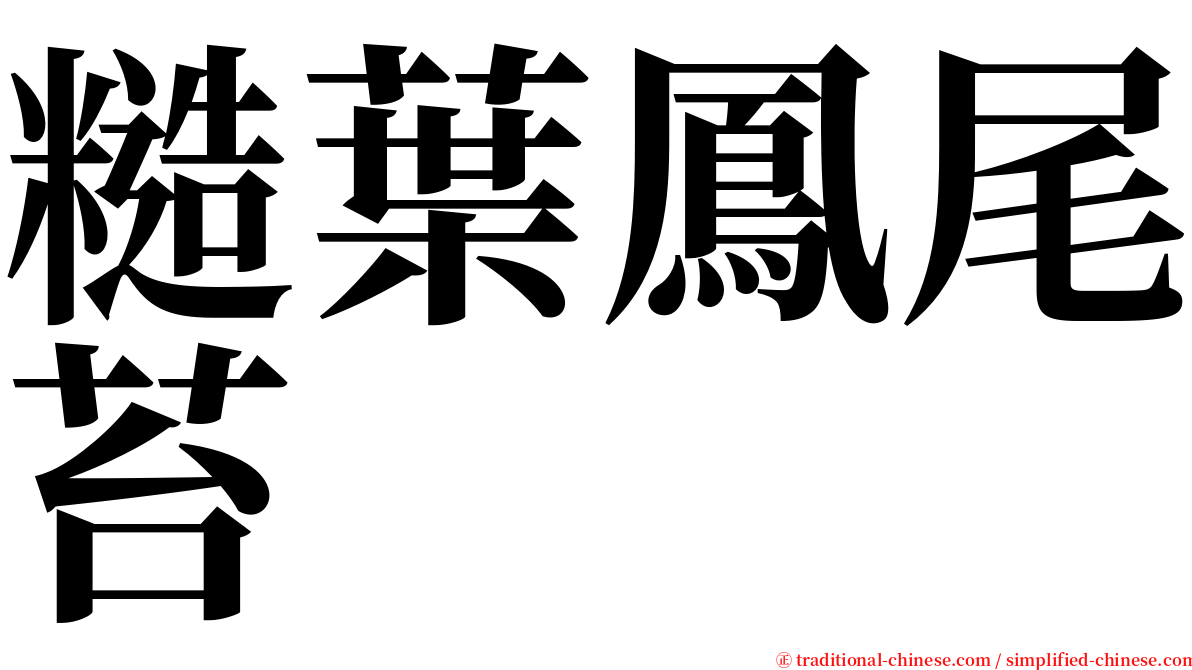 糙葉鳳尾苔 serif font
