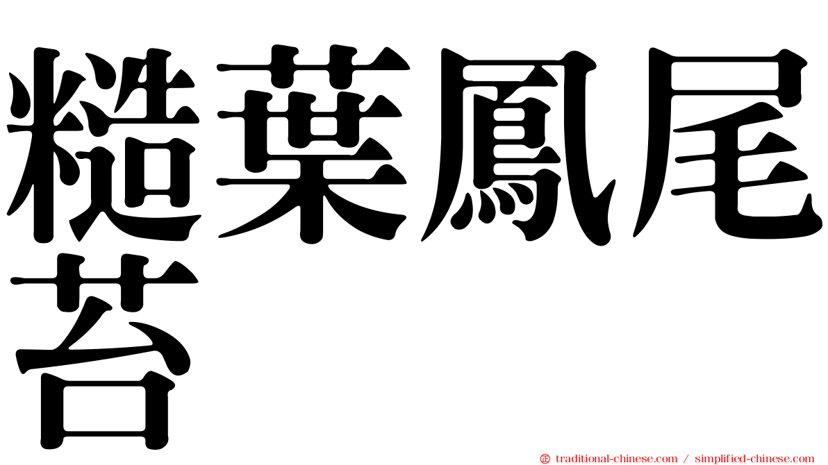 糙葉鳳尾苔