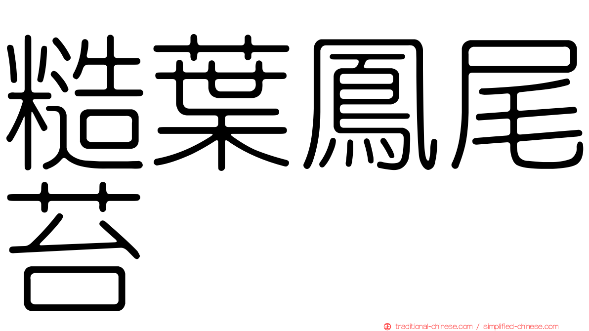 糙葉鳳尾苔