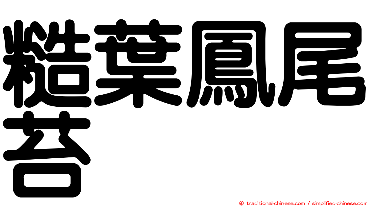糙葉鳳尾苔