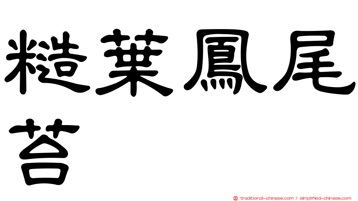 糙葉鳳尾苔