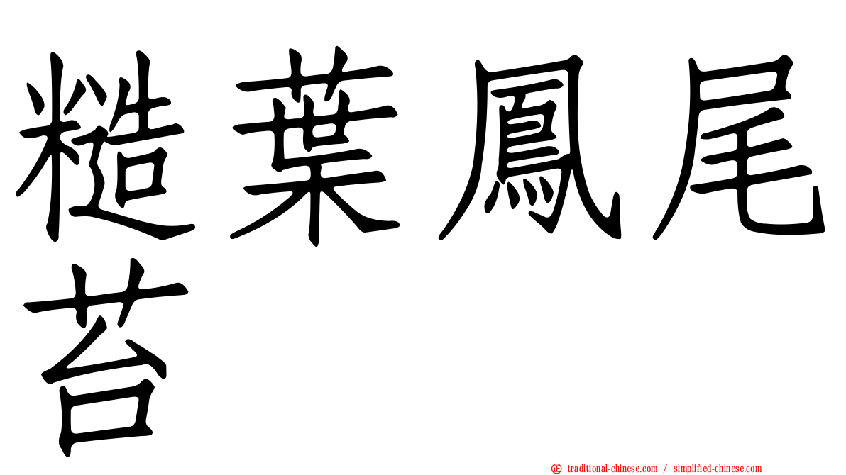 糙葉鳳尾苔