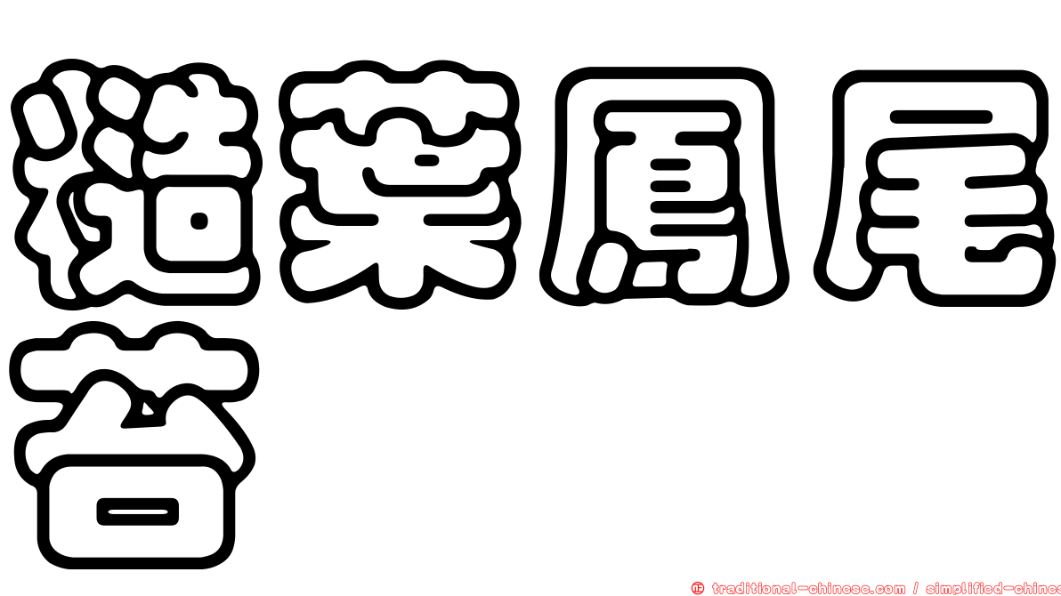 糙葉鳳尾苔