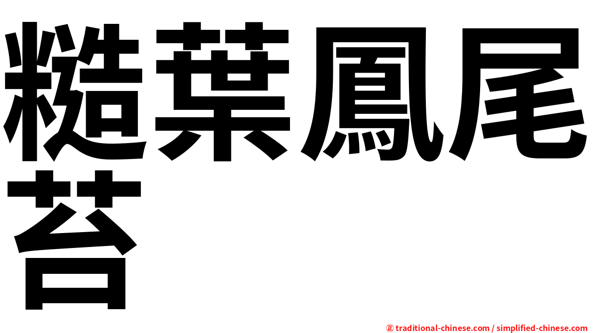 糙葉鳳尾苔