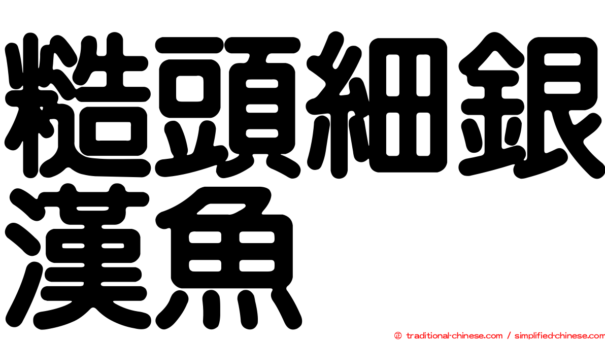 糙頭細銀漢魚