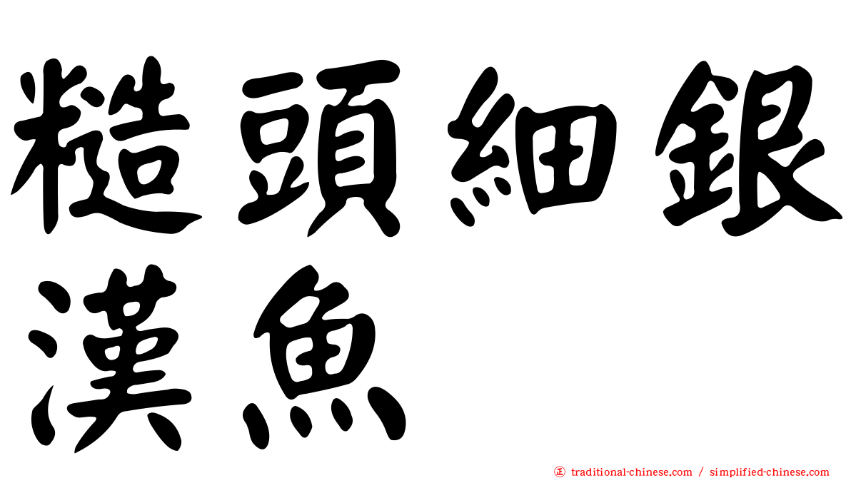 糙頭細銀漢魚