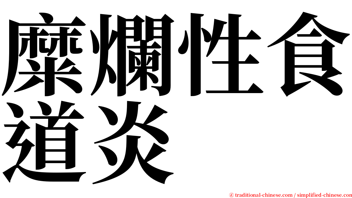糜爛性食道炎 serif font