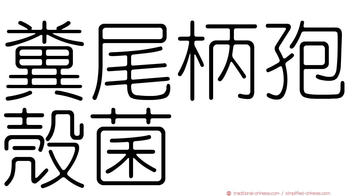 糞尾柄孢殼菌