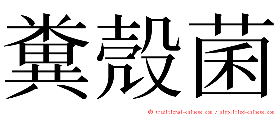 糞殼菌 ming font