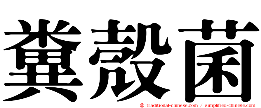 糞殼菌