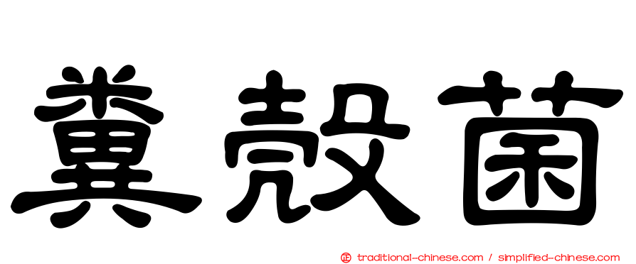 糞殼菌