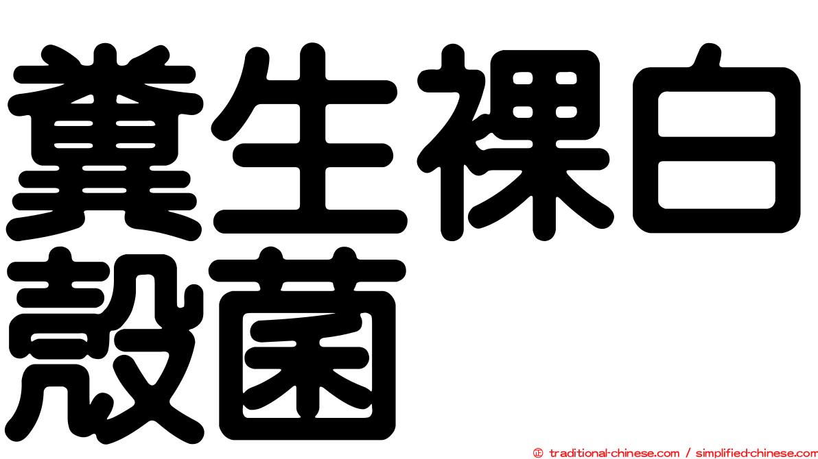 糞生裸白殼菌