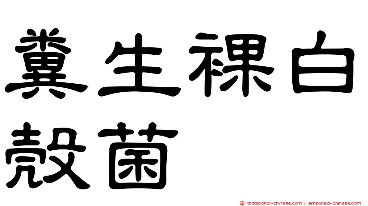 糞生裸白殼菌