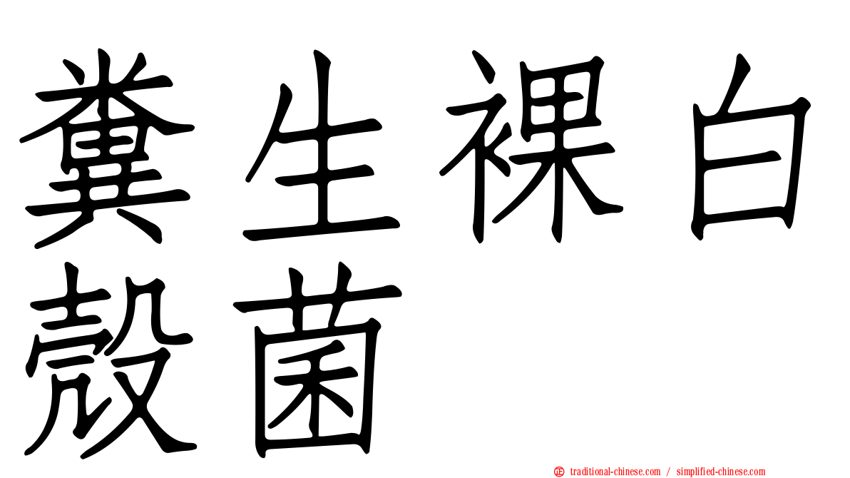 糞生裸白殼菌