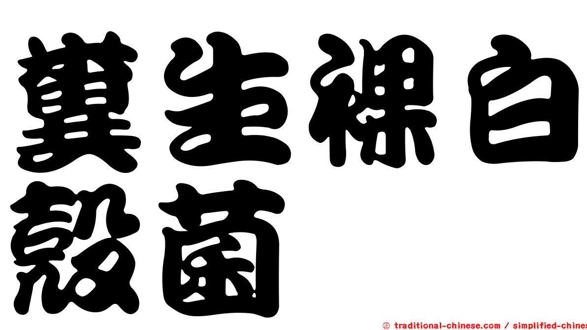 糞生裸白殼菌