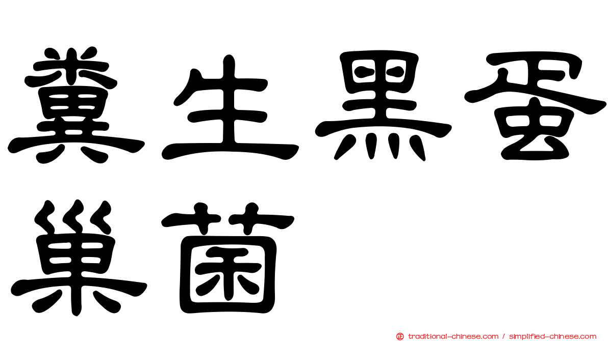 糞生黑蛋巢菌