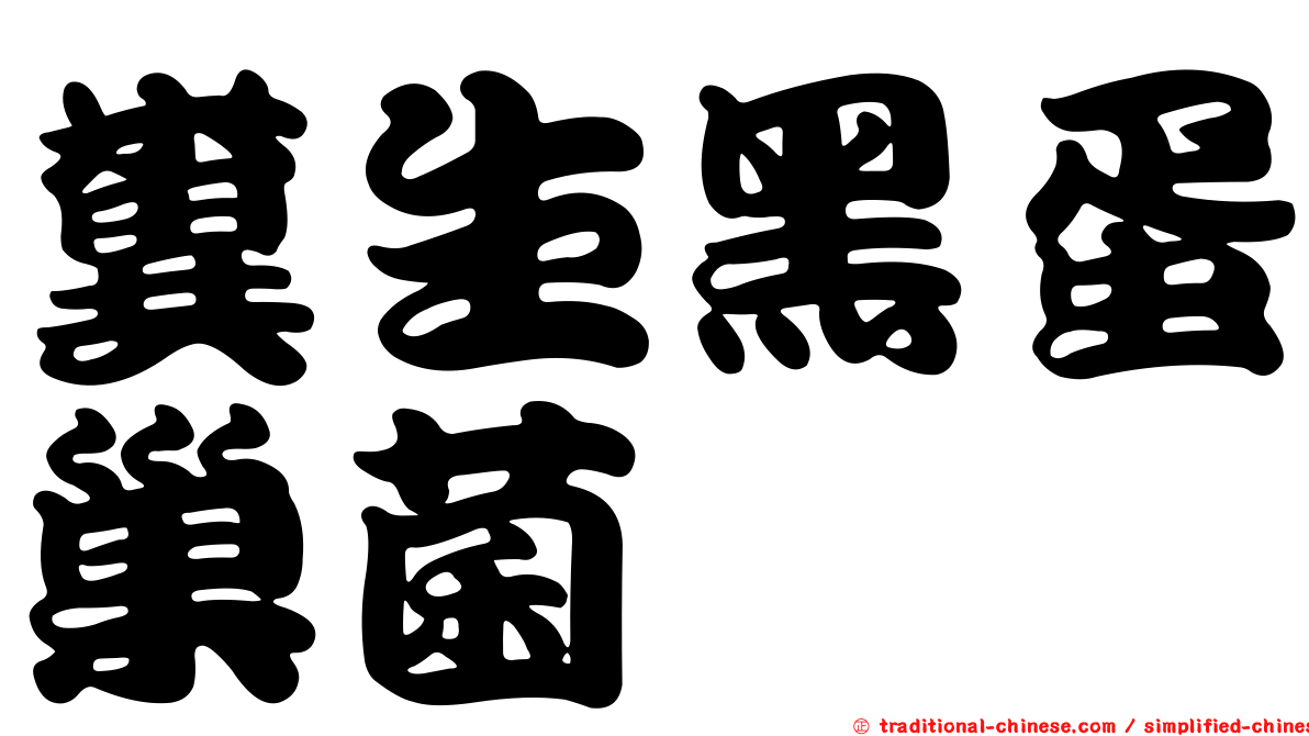 糞生黑蛋巢菌
