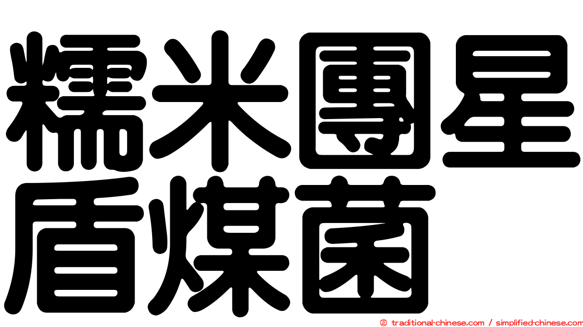 糯米團星盾煤菌