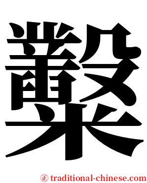 糳 serif font