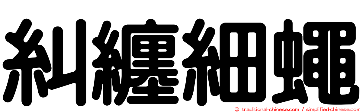 糾纏細蠅