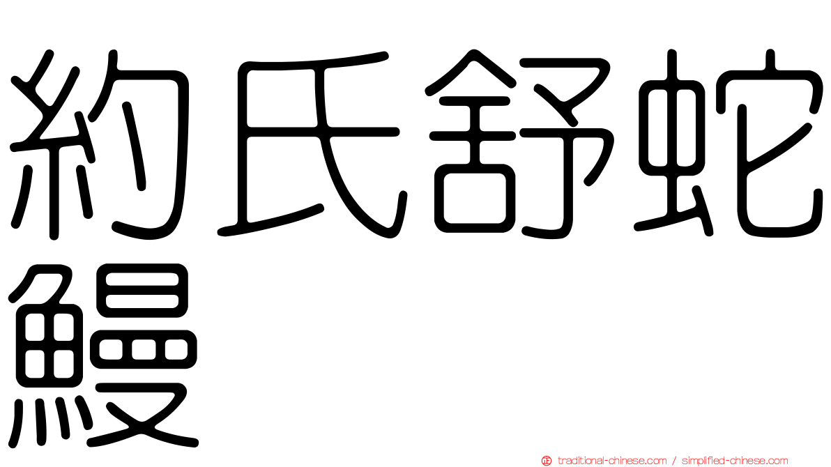 約氏舒蛇鰻