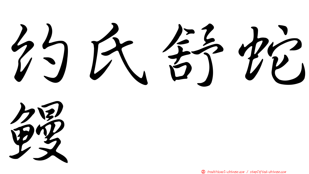 約氏舒蛇鰻