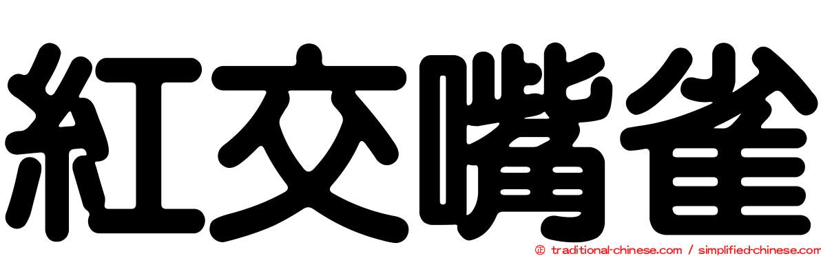紅交嘴雀