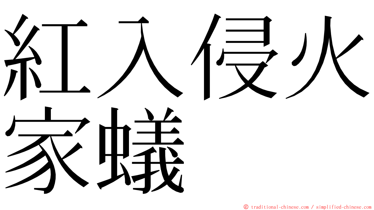 紅入侵火家蟻 ming font
