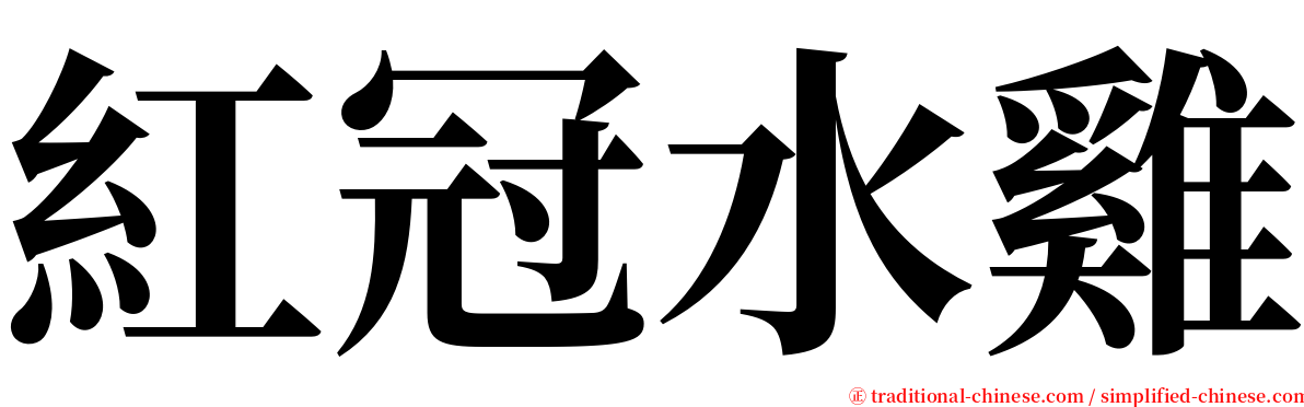 紅冠水雞 serif font