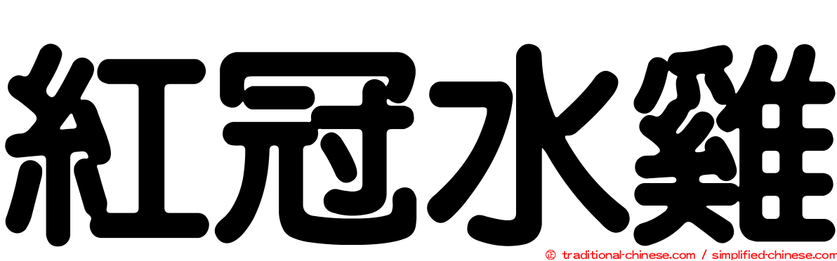 紅冠水雞