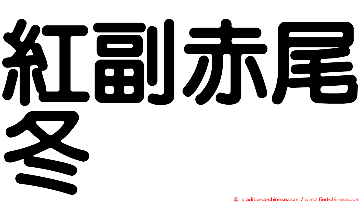 紅副赤尾冬