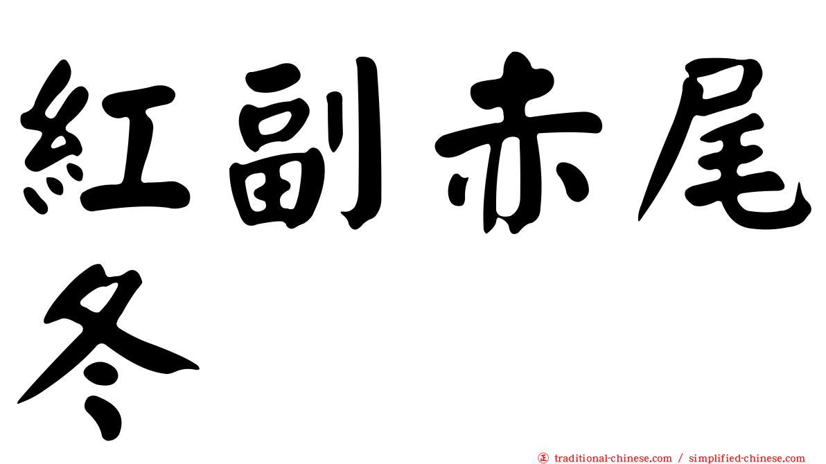 紅副赤尾冬