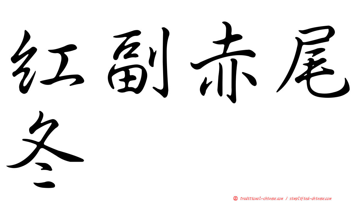 紅副赤尾冬