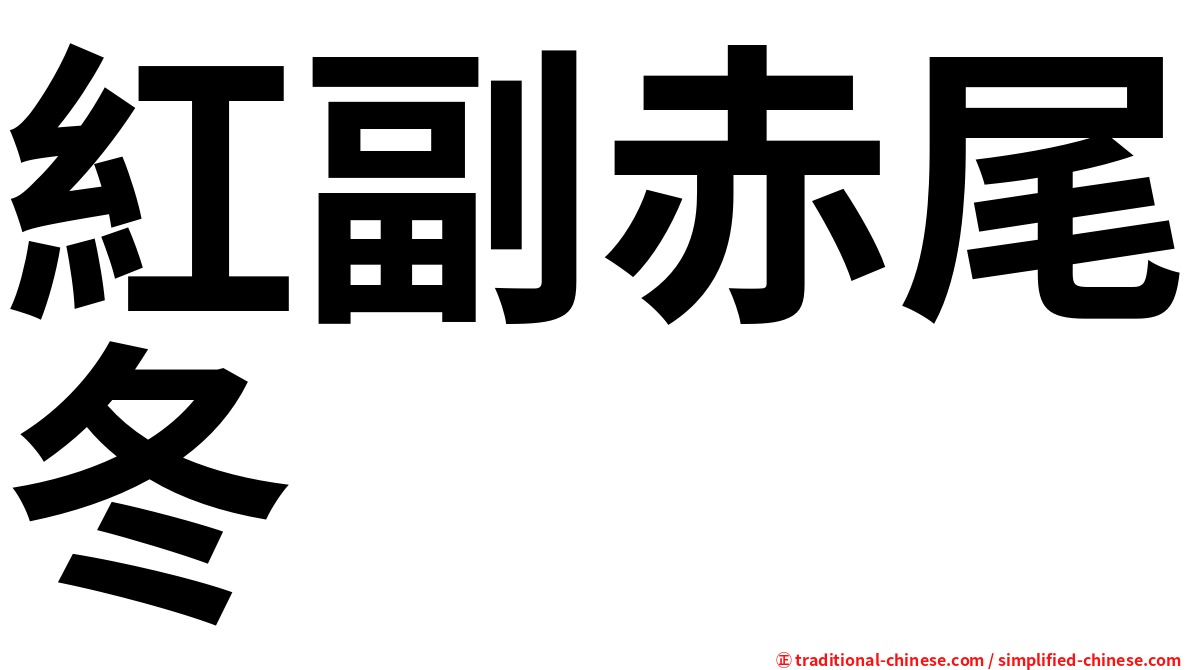 紅副赤尾冬