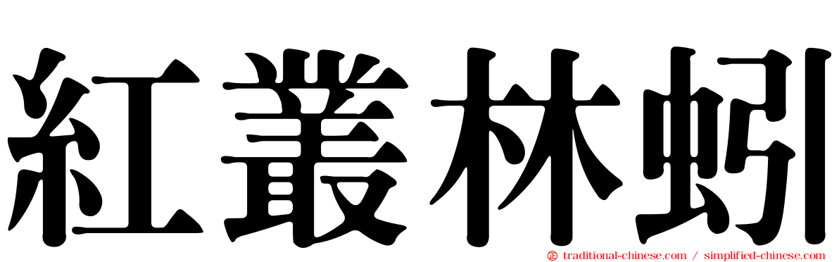 紅叢林蚓