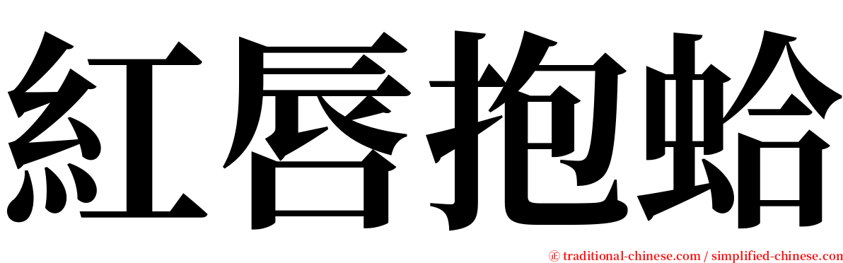 紅唇抱蛤 serif font