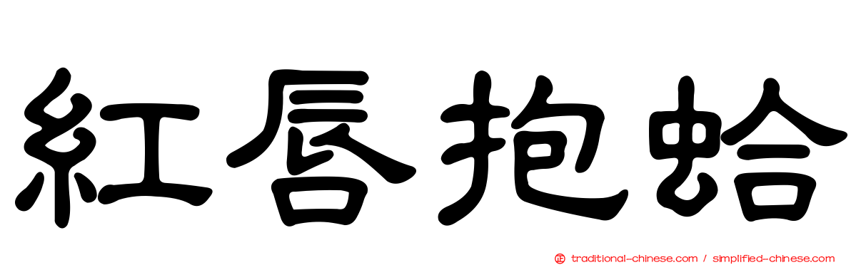 紅唇抱蛤
