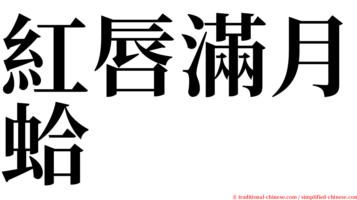 紅唇滿月蛤 serif font