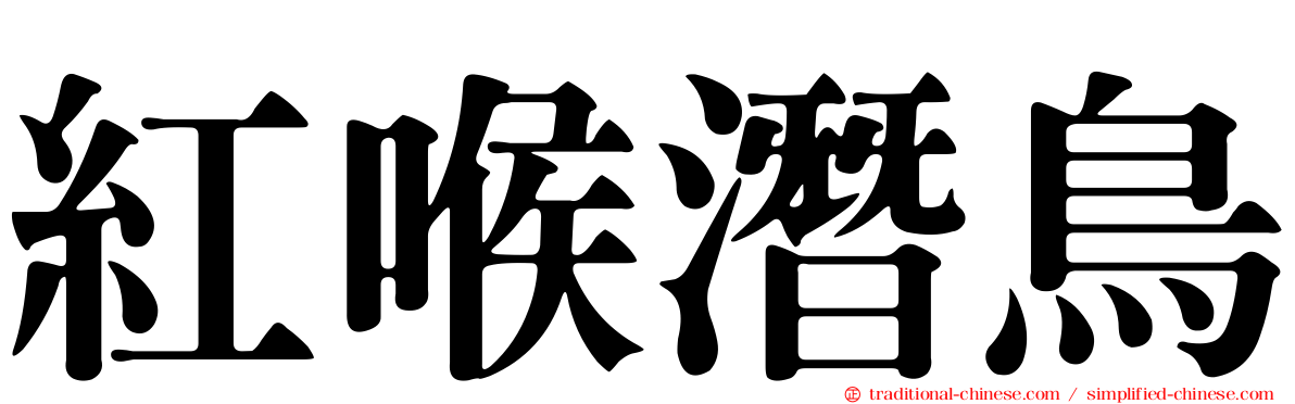 紅喉潛鳥