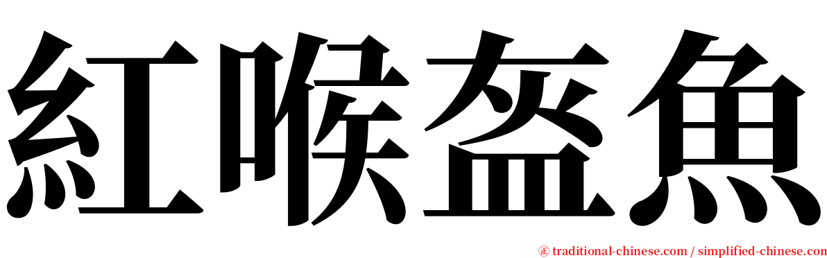 紅喉盔魚 serif font