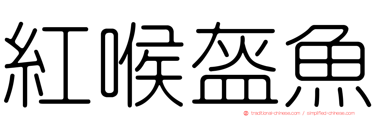 紅喉盔魚