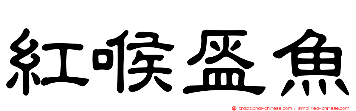 紅喉盔魚