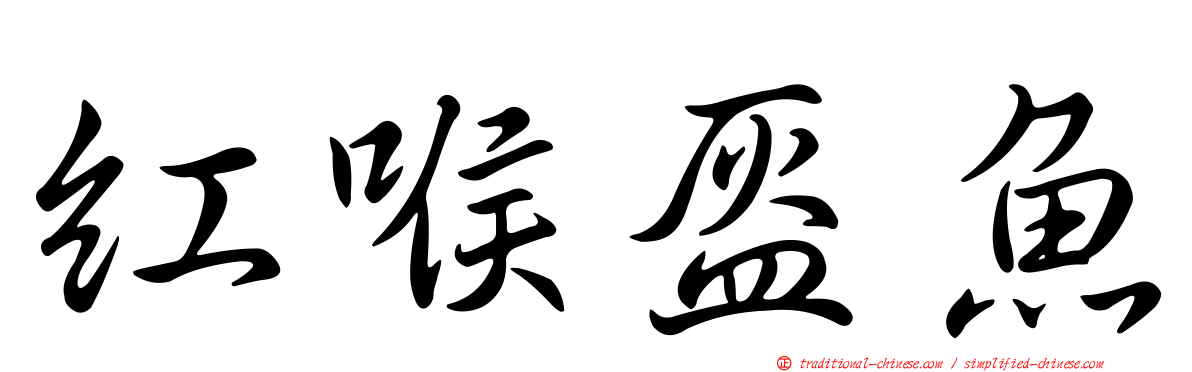 紅喉盔魚